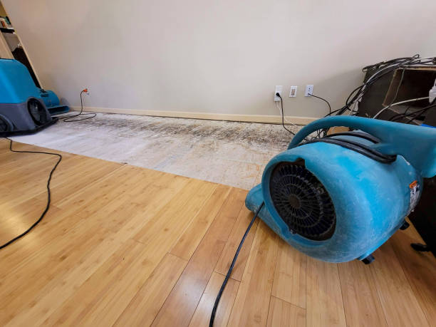 Professional Water Damage Repair technician working in Francitas, TX